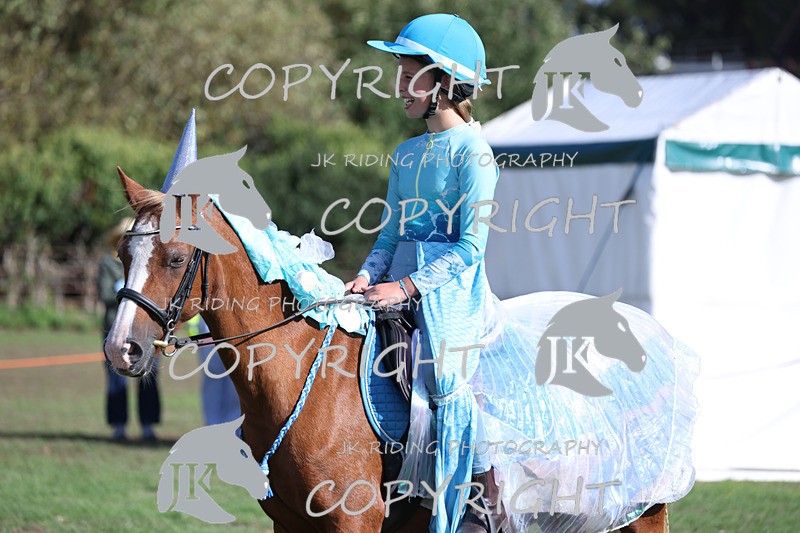 APP_4072 - Class 19 Fancy dress