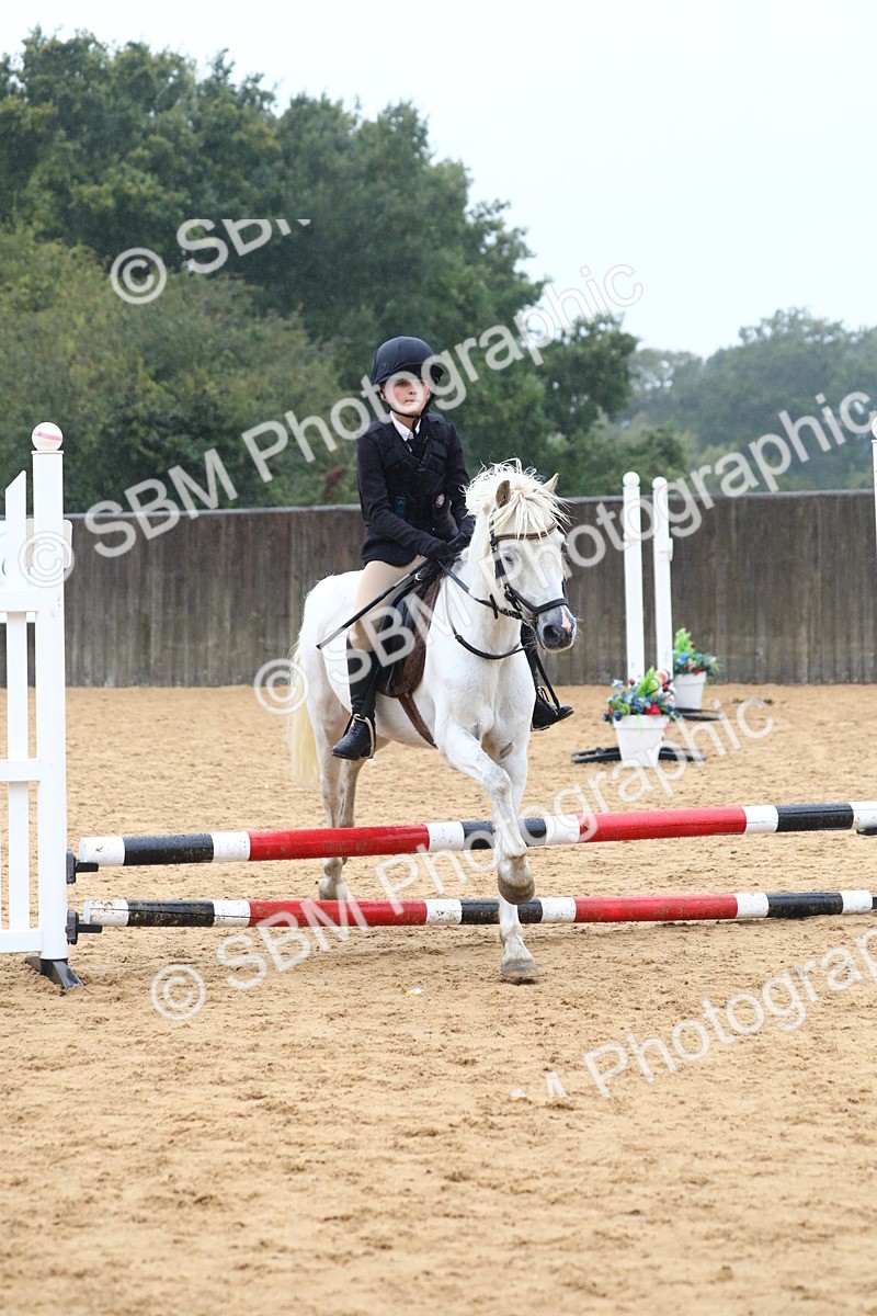 SBM_71687 - J4 - Mini Tour Junior Pony 45cm Championship