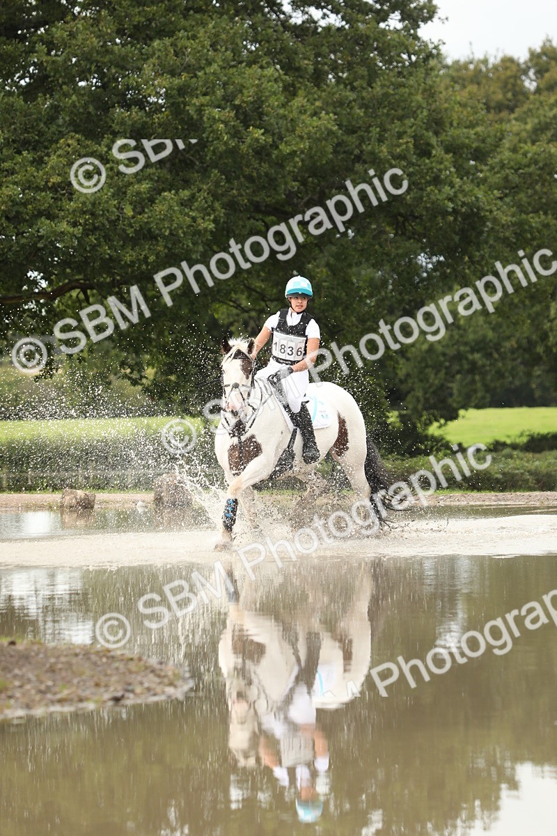 SBM_10777 - E8 Eventers Challenge 80cm Championship