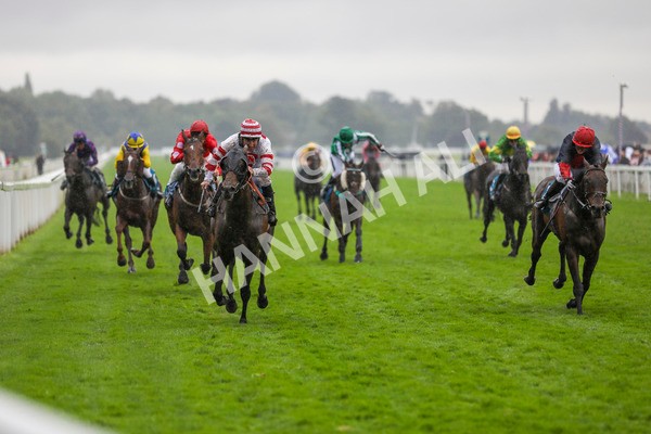 080924-Race 7-Young Fire-4606 - Race 7 5.10pm Elevator Company Amateur Jockeys' Handicap