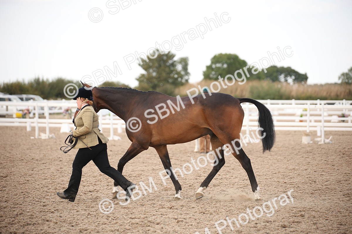 SBM_08242 - Class 27 - IH Competition Horse-Pony