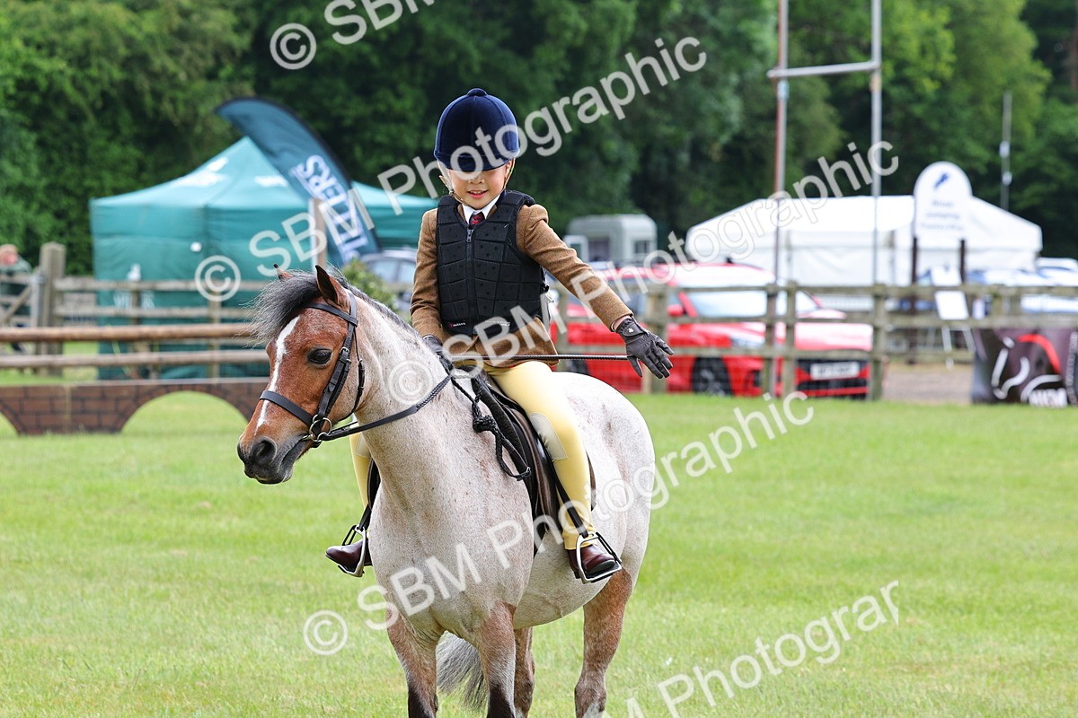 SBM_08606 - Class 42-43 - LIHS BSPS Heritage Working Sports Pony