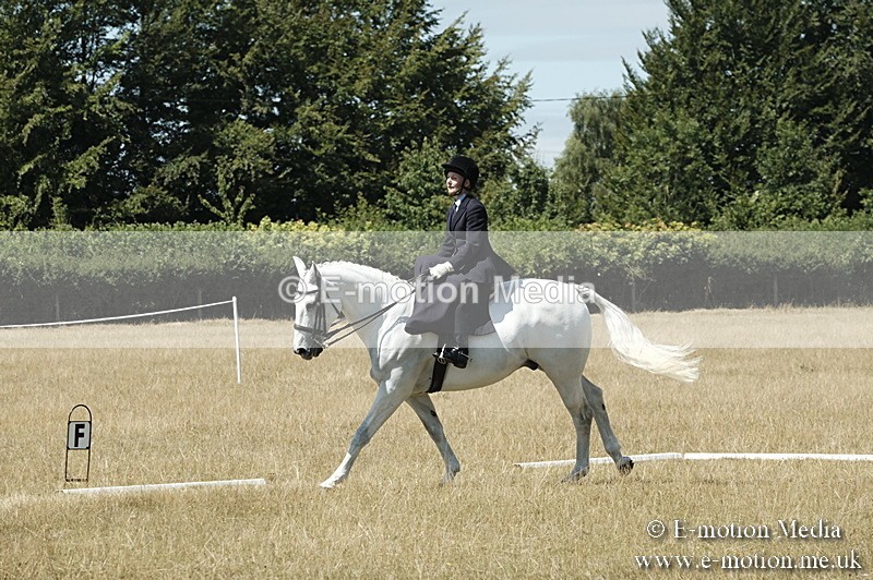 _PJP5958 - Dressage Classes BVRC Show 2018