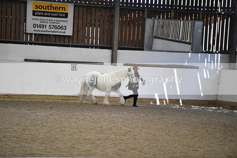 WJ5_5268 - Class 8 In hand cob