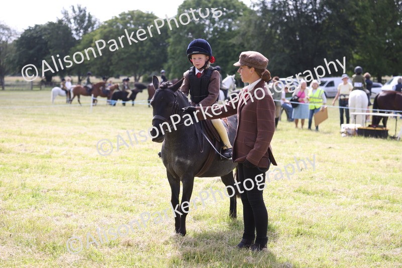 20260614-0606 - Class 20 - Beginners Working Hunter Pony