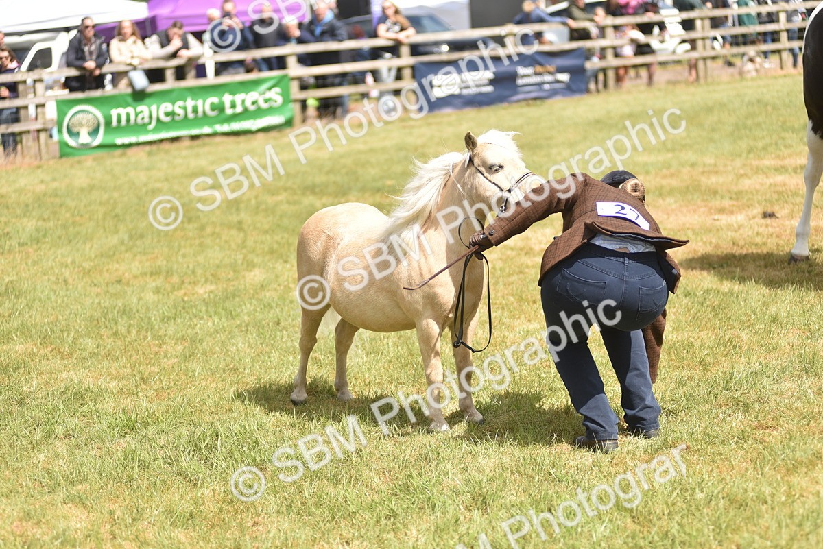 SBM_16070 - Class 117-122 - SSADL RIHS Qualifier