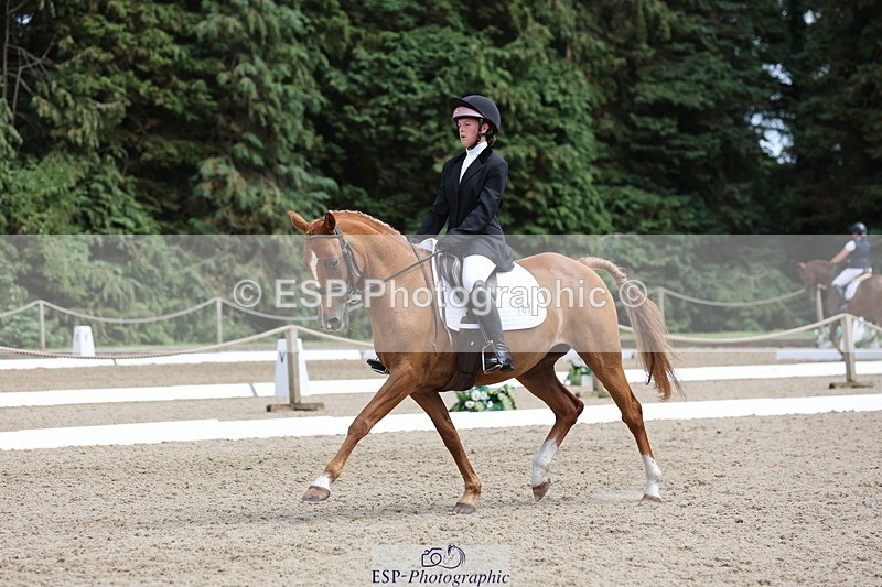 250718A-145323-02309 - 107-Beatrice.Coker-Brown-Portia.the.Fawn