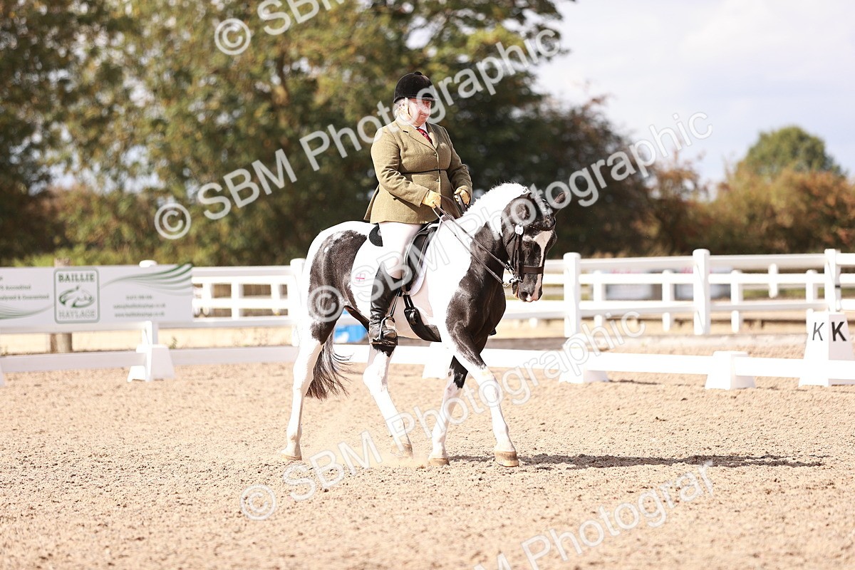 SBM_06587 - Class 39 - Medium 3