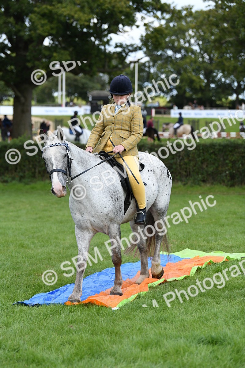 SBM_47182 - S12 - Family Horse & Pony
