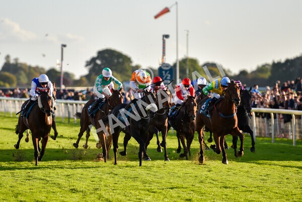 yr08102022r7-35 - Race 7 5.00pm The Coral Gets You Closer To The Action Stakes