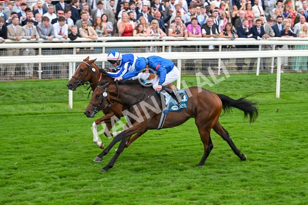 230825-Race 6-Revival Power-0845 - Race 6 4.45pm Julia Graves Roses Stakes