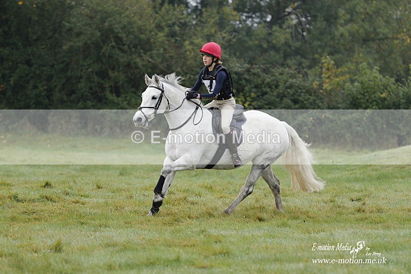 WWHT 171021 0632 - Novice Restricted (0.80m)  17/10/21