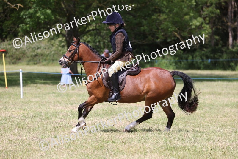 20260614-1757 - Class 21 - Novice Working Hunter Pony