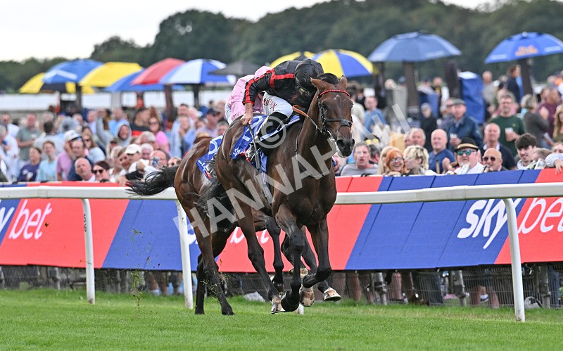 190826-074 Maltese Cross - Race 3 15.00pm Sky Bet Great Voltigeur Stakes