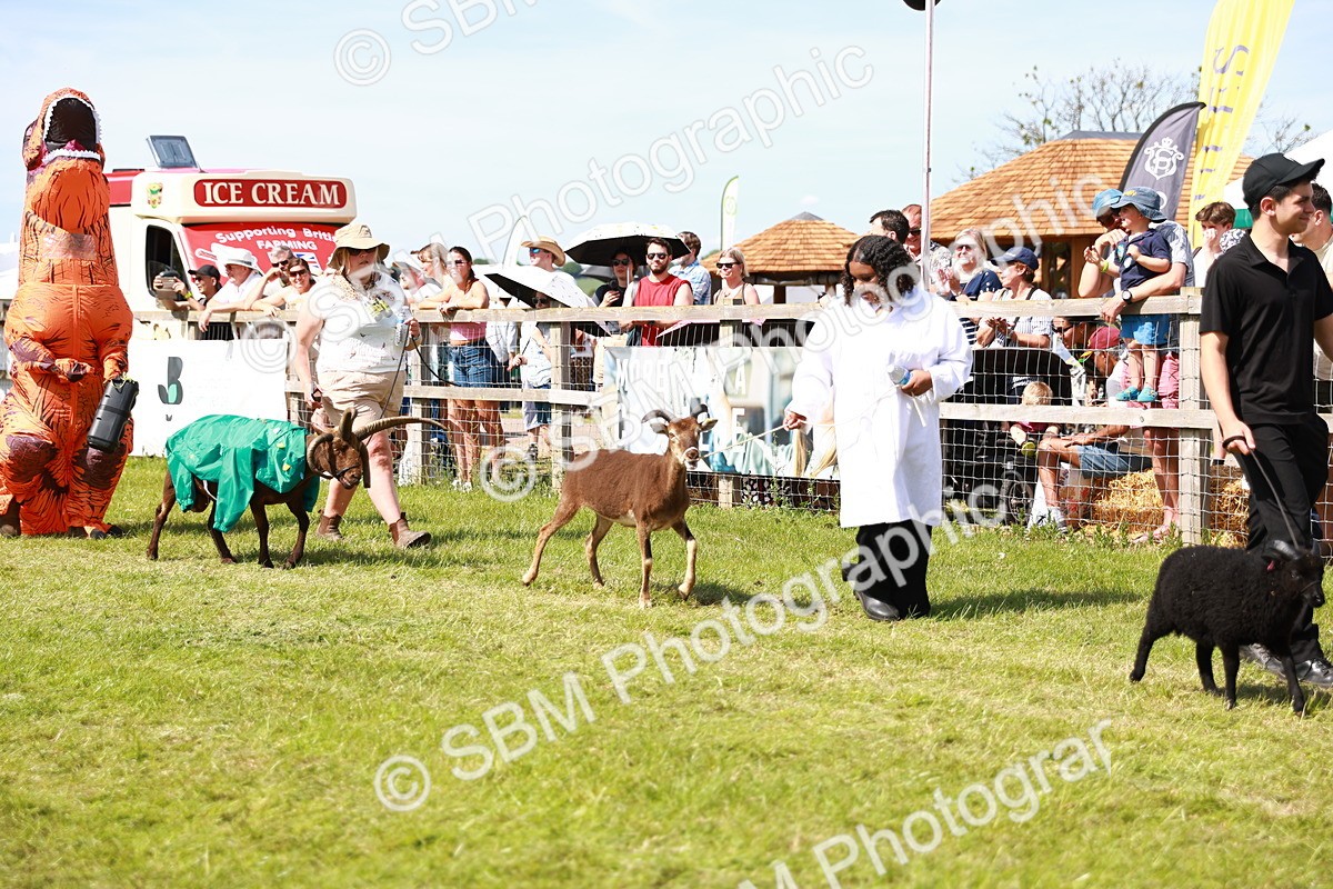 SBM_08313 - Grand Parade