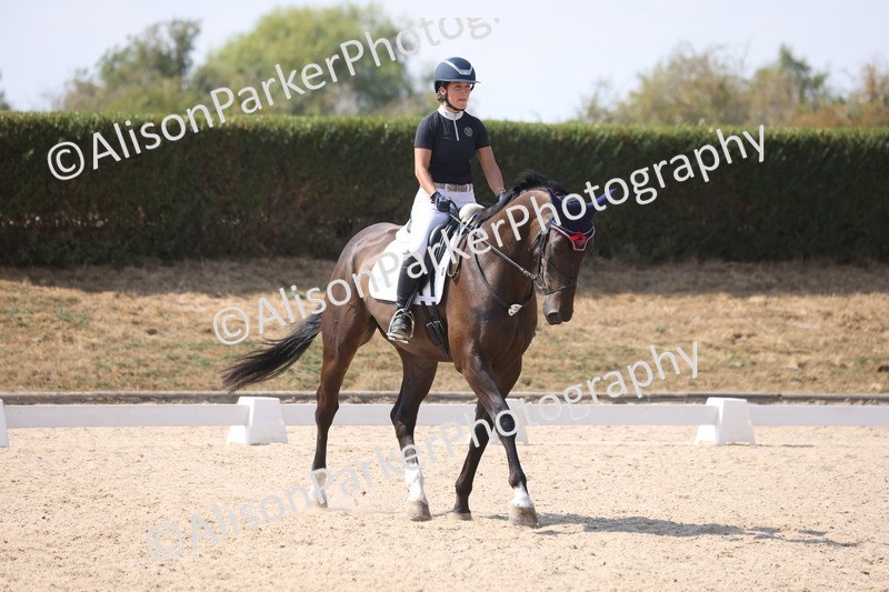 20260815-0938 - Class 5 - Novice 1