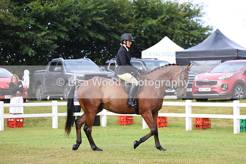 3E7A7993 - Class 2: Rising Star Large Hack/Riding Horse