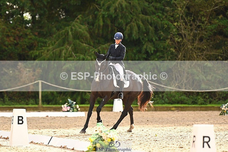 231021-152146-21126 - 361-ELLIES.CANDY.GIRL-Carolyne.Ryan-Bell-DR