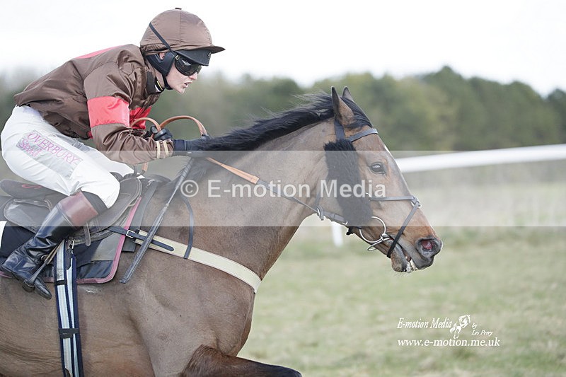 PtP 260223 666 - South & West Wilts Point-to-Point Larkhill 26/02/23