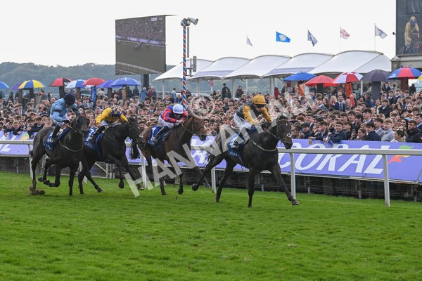 121024-Race 1-Jungle Drums-2560 - Race 1 1.30pm Coral Rockingham Stakes