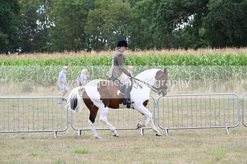 WJ7_5230 - Class 12 Ridden Cob