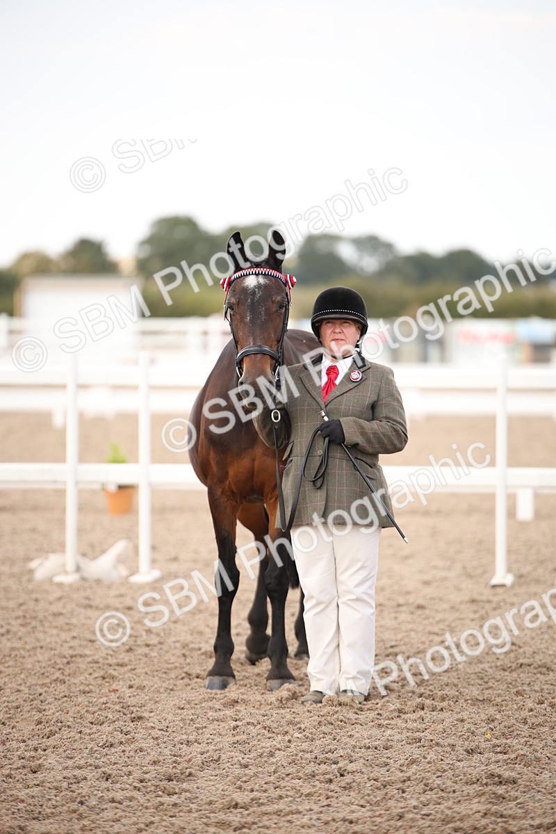 SBM_08250 - Class 27 - IH Competition Horse-Pony