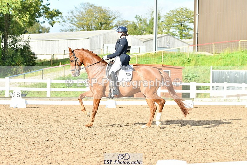 230912A-172431-02005 - Cls 23 FEI Grand Prix