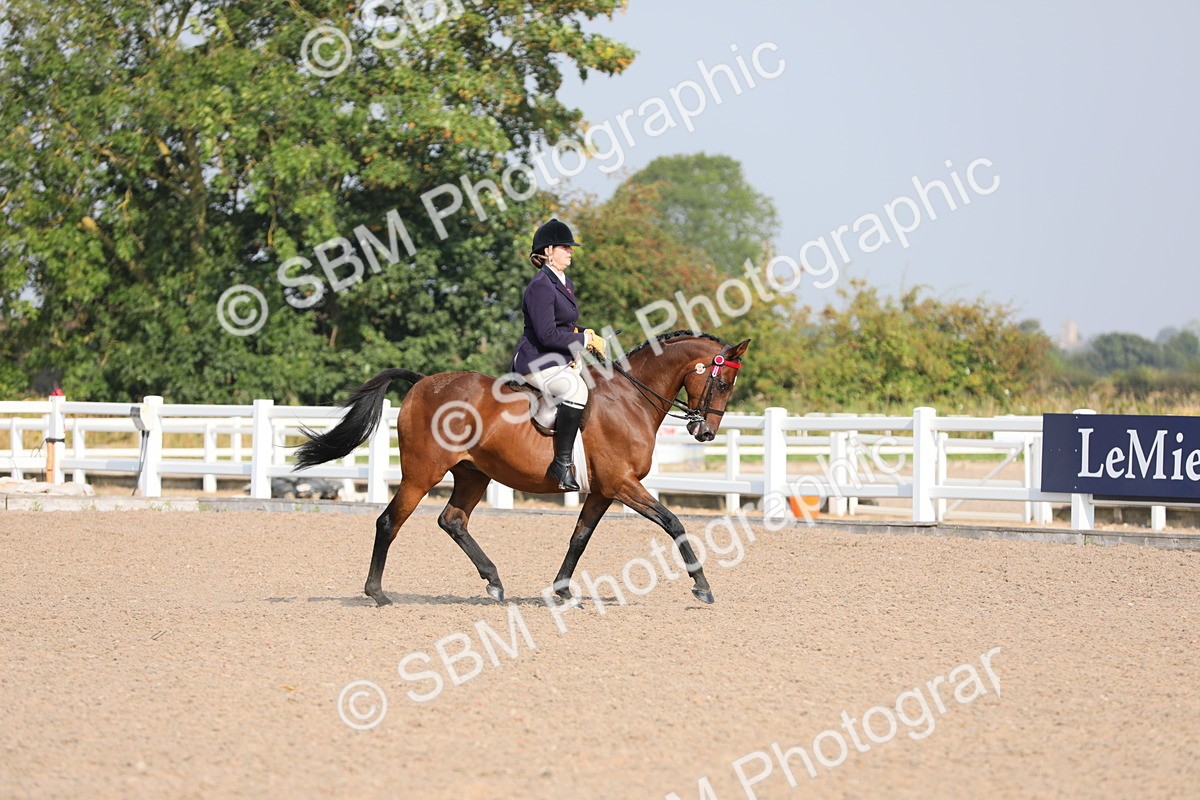 SBM_10949 - Class 304 Ridden Part Bred Horse/Pony