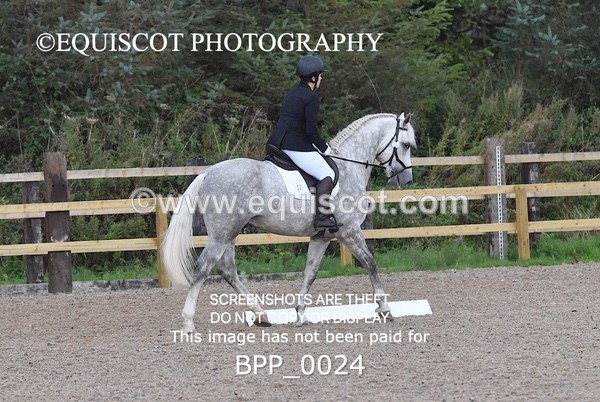 BPP_0024 - PRELIM 5