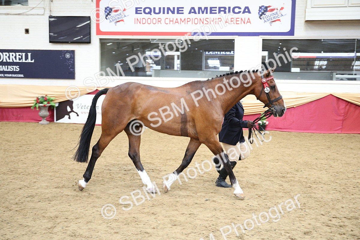 SBM_23419 - Class 904 - Supreme Final Ridden Diamond