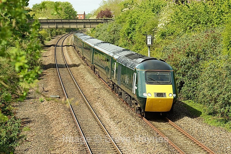 8th May 2019 - Creech St. Michael, Somerset.
