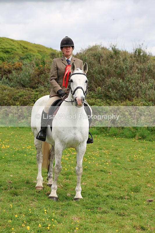 3E7A1356 - Class 7: Ridden Hunter Type