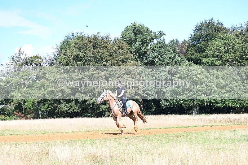 DSC_0141 - Time at Statue 15:58 to 16:05