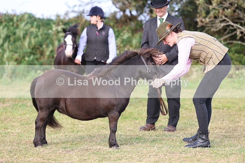 3E7A3268 - Class 12: M & M Small Breeds