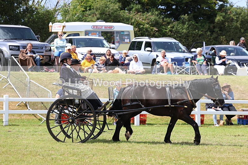 3E7A2660 - Class 12: Open Driving