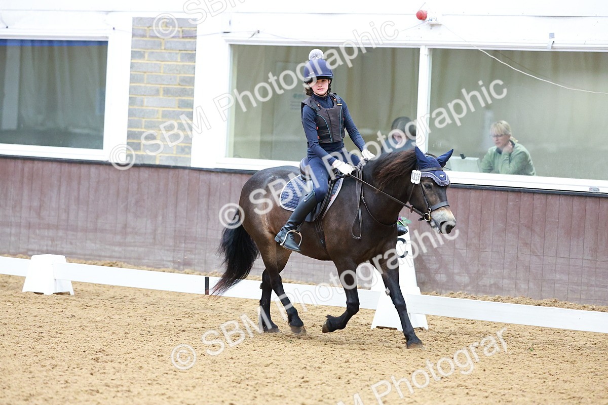 1I0A0727 - Class 3-6 - Prelim 1-Novice 2