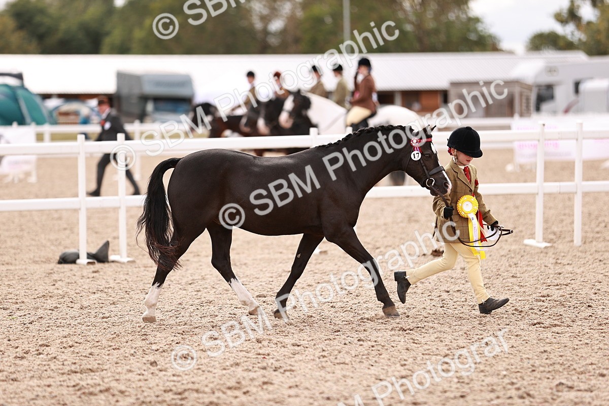 SBM_18413 - Class 418 - Best Condition - Jnr