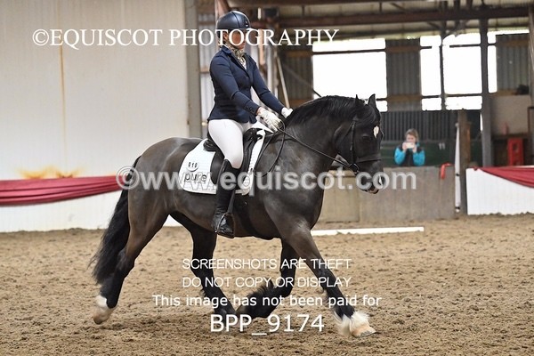BPP_9174 - ELEM 4