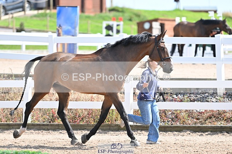 240717A-150932-02588 - Trot Up 3pm to 4pm