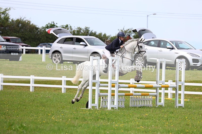 3E7A1534 - Class 13: Senior British Novice/90cm open