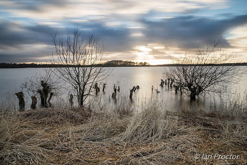 Golden Light Over Stoneyford Reservoir - County Antrim
