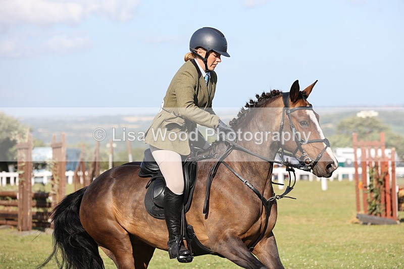 JPP_3133 - Class 21: Working Hunter 80cm