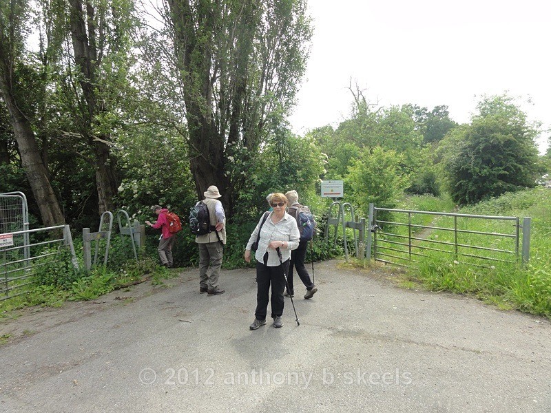 038 After Astley Ln LCW and R Aire bridge heading for Fleet Ln Bridge - SAINT PAULINUS PILGRIMAGE TRAIL