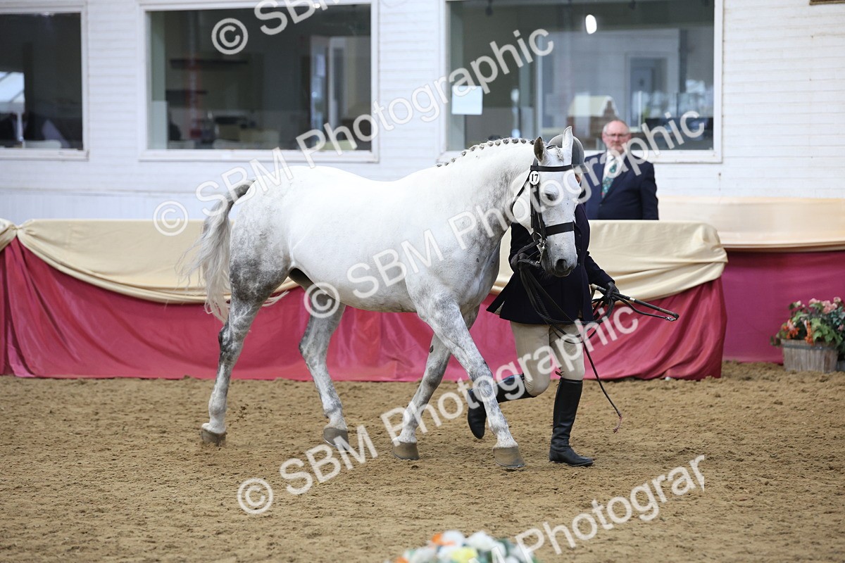 SBM_23642 - class 906 - Supreme Final - Ridden Pre Vet