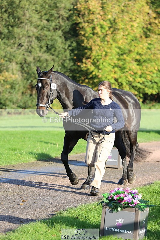 251026A-093624-22366 - D-356-Eloise.Starr