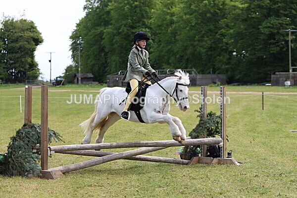 IMG_3011 - Working Hunter