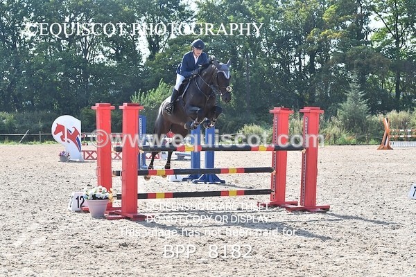 BPP_8182 - CLASS 6 Senior Newcomers/ 1.10m Open
