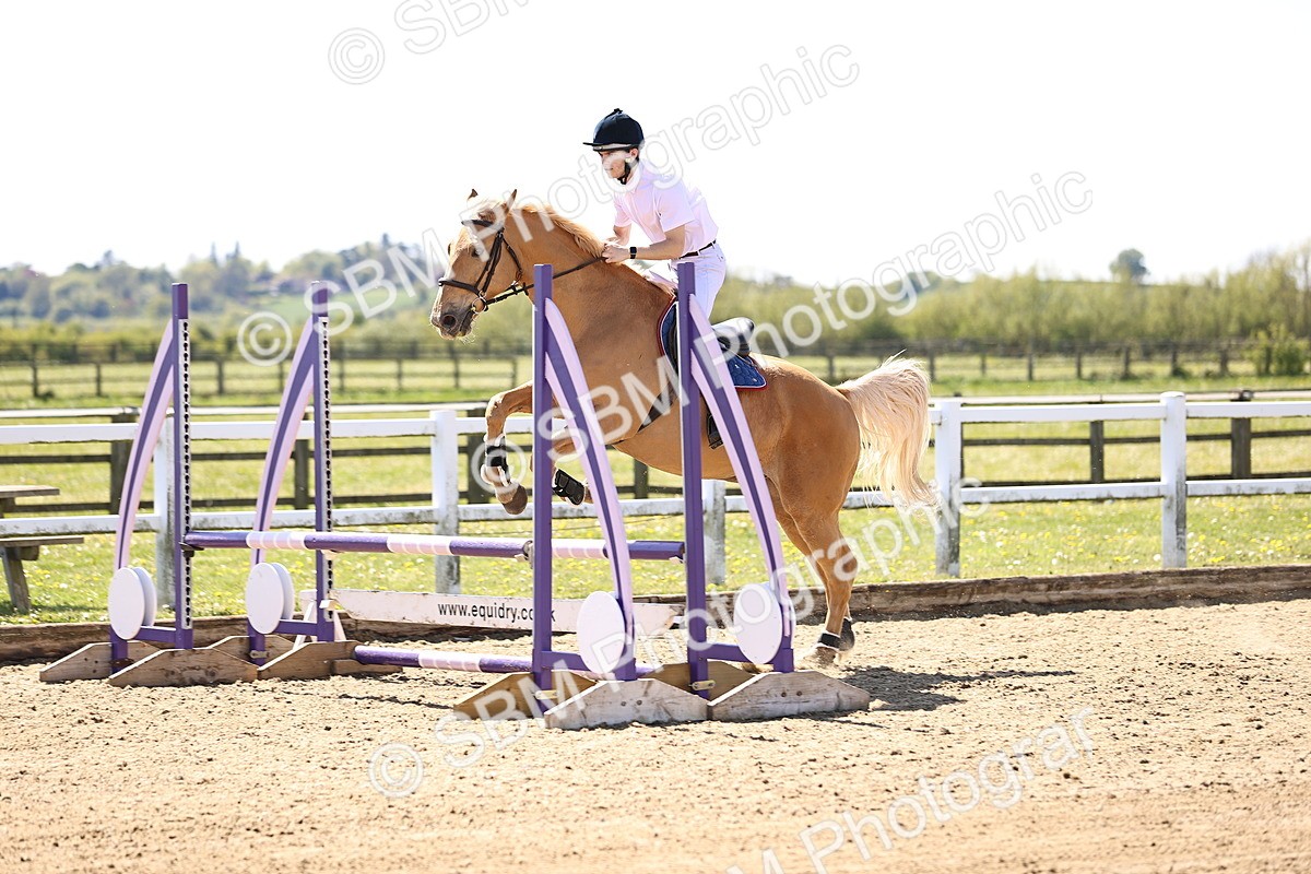 SBM_002667 - 80cm