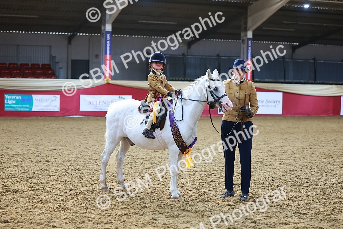 SBM_07747 - Class 101 - HOYS Veteran Qualifier - Ridden Diamond