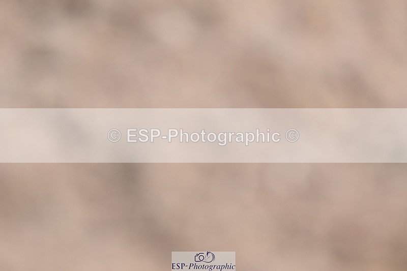 240622A-120629-09946 - Cls 34 BD Music Medium